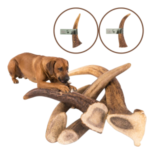 HAPP NATURAL Gryzak z Poroża Jelenia rozm. XL HARD