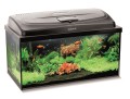 AQUAEL Aqua4Start 60 Zestaw Akwarystyczny dla Początkujących AKWARIUM PROSTE 60x30x30cm 54L + Pokrywa 10W Day&Night + Filtr + Grzałka + Mata