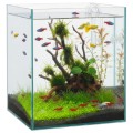 DIVERSA NANO AKWARIUM PROSTE Kostka 30x30x35cm 30l 4mm
