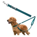 Smycz Spacerowa Miami Kerbl 200x2,5 cm Turkus Mocna Dla Psa