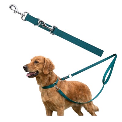 Smycz Spacerowa Miami Kerbl 200x2,5 cm Turkus Mocna Dla Psa