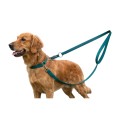 Smycz Spacerowa Miami Kerbl 200x2,5 cm Turkus Mocna Dla Psa