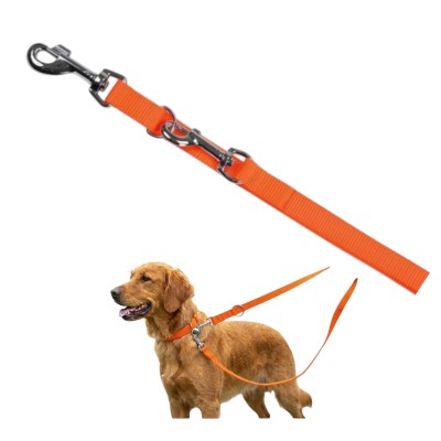 Smycz Spacerowa Miami Kerbl 200x2 cm Pomarańcz Trwała Dla Psa