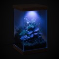 Aquael Selva MiniTerrarium Terrarium Drewniana Podkładka i Przykrywka LED WRGB 20x20x30cm