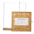 Aquael Selva MiniTerrarium Terrarium Drewniana Podkładka i Przykrywka LED WRGB 20x20x30cm