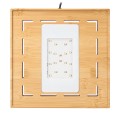 Aquael Selva MiniTerrarium Terrarium Drewniana Podkładka i Przykrywka LED WRGB 20x20x30cm
