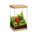 Aquael Selva MiniTerrarium Terrarium Drewniana Podkładka i Przykrywka LED WRGB 20x20x30cm
