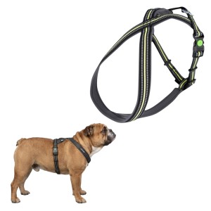 Szelki Dla Psa Kerbl Xenos Czarne Uprząż Odblask Regulowana 40-60cm