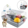 AquosPlast Hamster Ruso Klatka Dla Chomika Myszki Małych Gryzoni Przezroczysta z Wyposażeniem 52x37x26cm