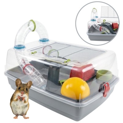 AquosPlast Hamster Ruso Klatka Dla Chomika Myszki Małych Gryzoni Przezroczysta z Wyposażeniem 52x37x26cm