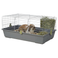AquosPlast Kawia 80 Przestronna Klatka Dla Kawii Świnki Morskiej 78x46x35,5cm + PAŚNIK Szaro-Zielona
