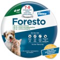 ELANCO Foresto Skuteczna Obroża Przeciw Pchłom i Kleszczom dla Kotów i Małych Psów do 8kg 38cm Działa do 8 Miesięcy
