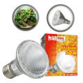 TERRA Żarówka HALOGEN GRZEWCZY 50W