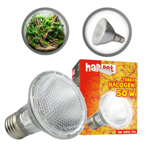 TERRA Żarówka HALOGEN GRZEWCZY 50W Do Terrarium