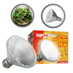 TERRA Żarówka HALOGEN GRZEWCZY 75W Do Terrarium