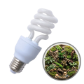 Żarówka kompaktowa UVB 10.0 13W do terrarium Pustynna