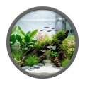 ISTA Indykator CO2 Kropelkowy Drop Checker