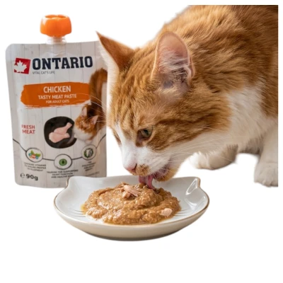 Ontario Pasta Przysmak dla Kotów Fresh Meat Chicken z Kurczakiem 90g