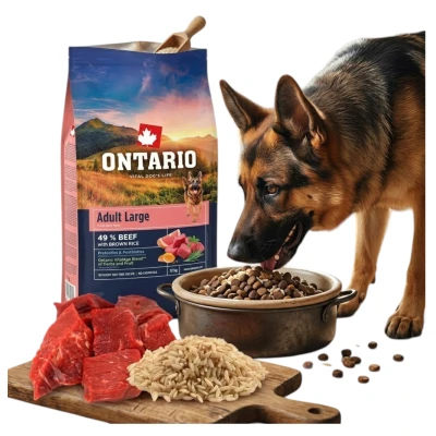 ONTARIO ADULT LARGE BEEF&amp;BROWN RICE 12KG Karma dla Dorosłych Psów Dużych Ras z Wołowiną i Ryżem Brązowym