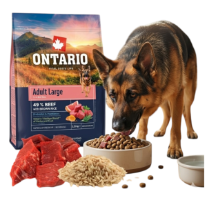 ONTARIO ADULT LARGE BEEF&BROWN RICE 2,25KG Karma dla Dorosłych Psów Dużych Ras z Wołowiną i Ryżem Brązowym 