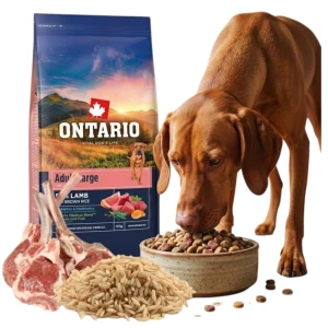 ONTARIO ADULT LARGE LAMB&BROWN RICE 12KG Karma dla Dorosłych Psów Dużych Ras z Jagnięciną i Ryżem Brązowym