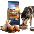 ONTARIO ADULT MEDIUM CHICKEN&amp;SWEET POTATOES 12KG Karma dla Dorosłych Psów Średnich Ras z Kurczakiem i Słodkim Ziemniakiem