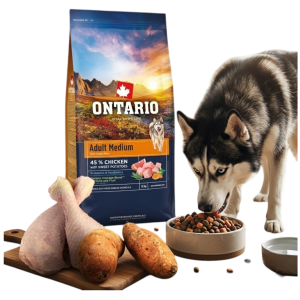 ONTARIO ADULT MEDIUM CHICKEN&SWEET POTATOES 12KG Karma dla Dorosłych Psów Średnich Ras z Kurczakiem i Słodkim Ziemniakiem 