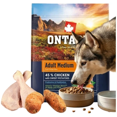 ONTARIO ADULT MEDIUM CHICKEN&amp;SWEET POTATOES 2,25KG Karma dla Dorosłych Psów Średnich Ras z Kurczakiem i Słodkim Ziemniakiem