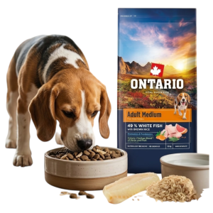 ONTARIO ADULT MEDIUM FISH&BROWN RICE 12KG Karma dla Dorosłych Psów Średnich Ras z Białą Rybą i Ryżem Brązowym 