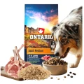 ONTARIO ADULT MEDIUM LAMB&amp;BROWN RICE 12KG Karma dla Dorosłych Psów Średnich Ras z Jagnięciną i Ryżem Brązowym