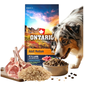 ONTARIO ADULT MEDIUM LAMB&BROWN RICE 12KG Karma dla Dorosłych Psów Średnich Ras z Jagnięciną i Ryżem Brązowym