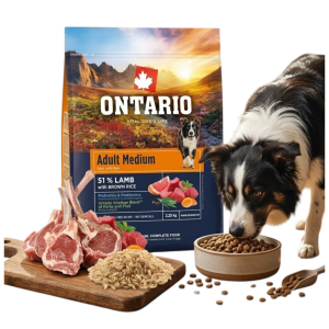 ONTARIO ADULT MEDIUM LAMB&BROWN RICE 2,25KG Karma dla Dorosłych Psów Średnich Ras z Jagnięciną i Ryżem Brązowym