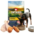 ONTARIO ADULT MINI CHICKEN&amp;SWEET POTATOES 6,5KG Karma dla Dorosłych Psów Małych Ras z Kurczakiem i Słodkim Ziemniakiem