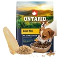 ONTARIO ADULT MINI FISH&amp;BROWN RICE 2,25KG Karma dla Dorosłych Psów Małych Ras z Białą Rybą i Ryżem Brązowym