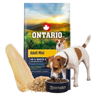 ONTARIO ADULT MINI FISH&amp;BROWN RICE 6,5KG Karma dla Dorosłych Psów Małych Ras z Białą Rybą i Ryżem Brązowym