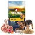 ONTARIO ADULT MINI LAMB&amp;BROWN RICE 6,5KG Karma dla Dorosłych Psów z Jagnięciną i Ryżem Brązowym