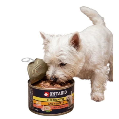 ONTARIO KARMA MOKRA DLA PSA KAWAŁKI KURCZAKA I NUGETSY 200g