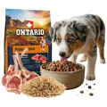ONTARIO PUPPY MEDIUM LAMB&amp;BROWN RICE 6,5KG Karma dla Szczeniąt Średnich Ras z Jagnięciną i Ryżem Brązowym
