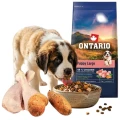 ONTARIO PUPPY&amp;JR LARGE CHICKEN&amp;SWEET POTATOES 12KG Karma dla Szczeniąt i Młodych Psów Dużych Ras z Kurczakiem i Słodkim Ziemniakiem