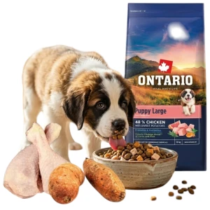 ONTARIO PUPPY&JR LARGE CHICKEN&SWEET POTATOES 12KG Karma dla Szczeniąt i Młodych Psów Dużych Ras z Kurczakiem i Słodkim Ziemniakiem