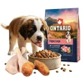 ONTARIO PUPPY&amp;JR LARGE CHICKEN&amp;SWEET POTATOES 2,25KG Karma dla Szczeniąt i Młodych Psów Dużych Ras z Kurczakiem i Słodkim Ziemniakiem