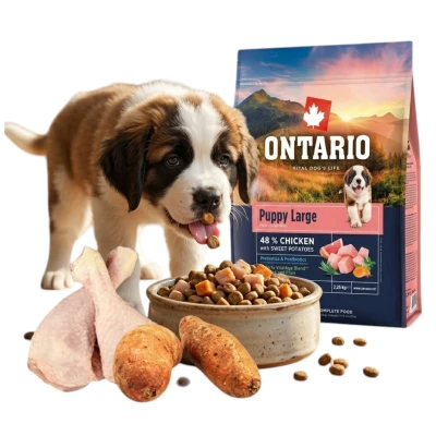 ONTARIO PUPPY&amp;JR LARGE CHICKEN&amp;SWEET POTATOES 2,25KG Karma dla Szczeniąt i Młodych Psów Dużych Ras z Kurczakiem i Słodkim Ziemniakiem
