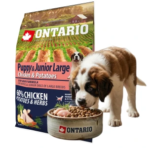 ONTARIO PUPPY&JUNIOR LARGE CHICKEN&POTATOES 2,25KG KURCZAK KARMA DLA SZCZENIĄT I MŁODYCH PSÓW