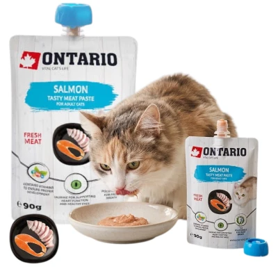 Ontario Pasta Przysmak dla Kotów Fresh Meat Salmon z Łososiem 90g