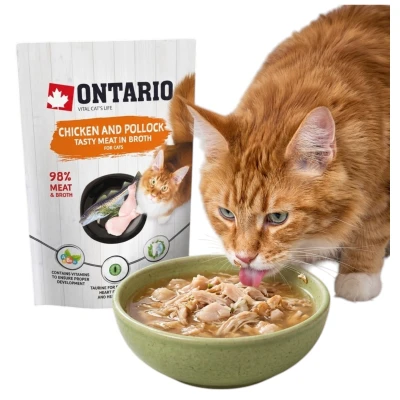 Ontario Karma Mokra Kurczak i Mintaj w Rosole 80g