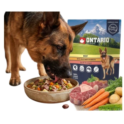 Ontario Monobiałkowa Karma Mokra dla Psa Saszetka Wołowina z Warzywami 300g