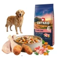 ONTARIO SENIOR LARGE CHICKEN&amp;SWEET POTATOES 12KG Karma dla Starszych Psów Dużych Ras z Kurczakiem i Słodkim Ziemniakiem