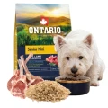ONTARIO SENIOR MINI LAMB&amp;BROWN RICE 2,25KG Karma dla Starszych Psów z Jagnięciną i Ryżem Brązowym