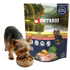 Ontario Monobiałkowa Karma Mokra dla Psa Saszetka Karp z Warzywami 300g