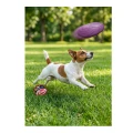 Gumowa Zabawka dla Psa Fioletowe FRISBEE 22cm Dysk